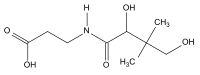 Skeletal formula of pantothenic acid with some implicit hydrogens shown, and an explicit hydrogen added