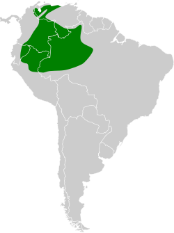 Distribución geográfica del saltarín uirapuru.