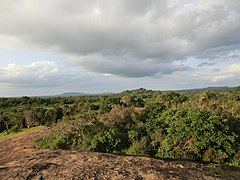 Polonnaruwa, Sri Lanka - panoramio (67).jpg