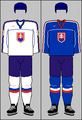 2002-yilgi Olimpiada formalari, 2001—2004-yilgi IIHF liboslari