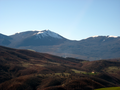 Estensione della foresta verso i monti Volturino e Calvelluzzo