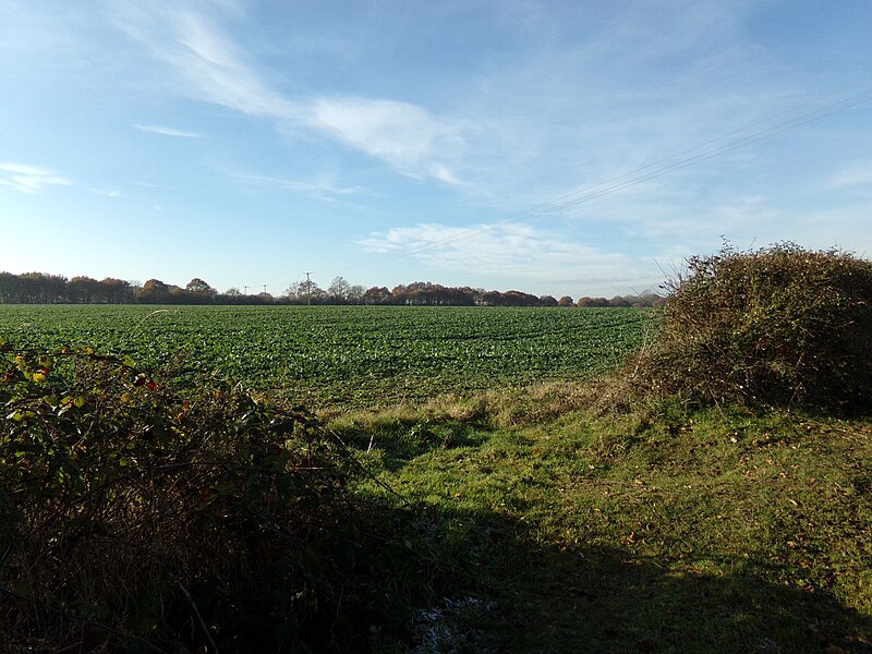 File:Farmland off Kerdiston Road - geograph.org.uk - 5213821.jpg