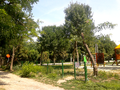 Szigetszentmiklós playground at Liget street with water