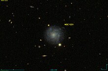 NGC 1231 SDSS.jpg