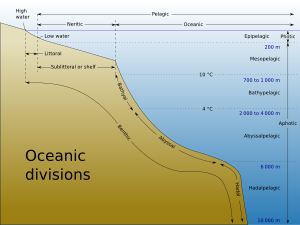 Drawing showing divisions according to depth and distance from shore