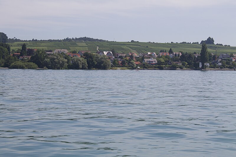 File:Bodensee, Lac de Constance - panoramio (86).jpg