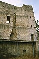 Chimney and wall of Farnsburg Castle