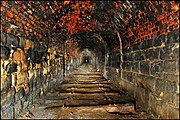 Abandoned (1916) tramway tunnel