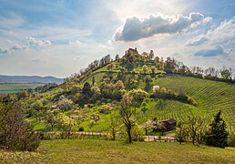 Rottenburg a.N. - Wurmlingen - Kapellenberg - Ansicht von OSO im April mit Gegenlicht