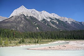 Chancellor Peak a Kicking Horse River