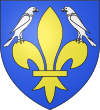 Blason