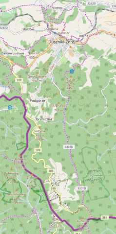 Mapa konturowa Dusznik-Zdroju, u góry nieco na lewo znajduje się punkt z opisem „Wapienniki”