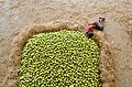 35 Kothapet Fruit Market uploaded by Dey.sandip, nominated by Dey.sandip,  14,  0,  0