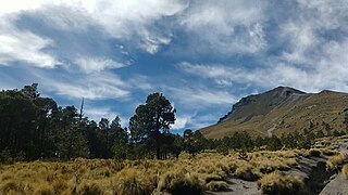 La Malinche Cima.jpg