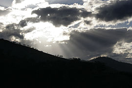 Crepuscular rays