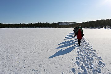 Kattajärvi