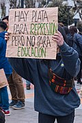 La Marcha Más Grande de Chile (Chilean Protests 2019 Puerto Montt) 12.jpg