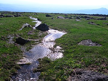 Քառասունակն աղբյուրների մի վտակը,