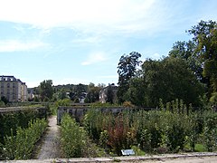 Le verger du Quatrième des Onze, pommiers et poiriers.