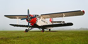 Antonov An-2 immatriculé en Allemagne en 2011.