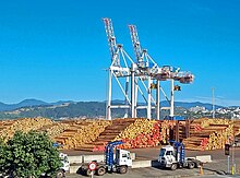 Photo of stacks of cut logs on wharf.