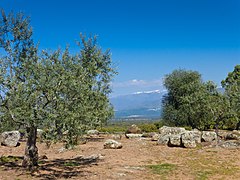 Ruínas Romanas de Cáparra, vista de la Sierra.jpg