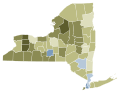 NY 2021 election proposals #4