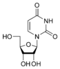 Estructura química de la uridina