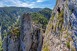 Via Ferrata Drachenwand.jpg