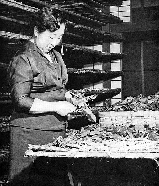 File:Empress Kojun at a cocoonery 1955-6.jpg