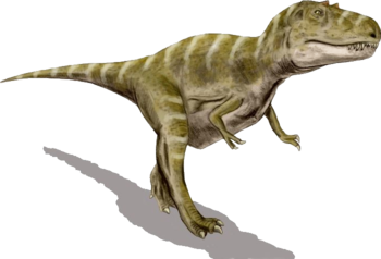 Gorgosaurus