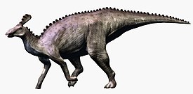 Реконструкция типового рода Tsintaosaurus