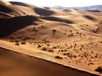 Namib-Sandmeer