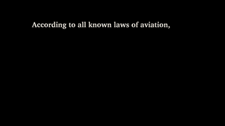 According to all known laws of aviation,.png