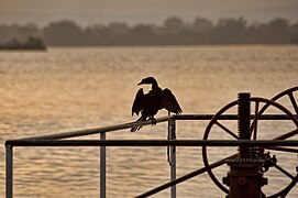 Polonnaruwa Lake.jpg