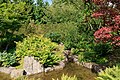 * Nomination Berlin: Marzahn Park, Japanese Garden --A.Savin 10:00, 3 May 2017 (UTC) * Promotion Good quality. --W.carter 17:26, 3 May 2017 (UTC)