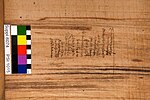 Thumbnail for File:Demotic papyrus containing two payment contracts - Museo Egizio Turin S 6074 p03.jpg