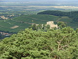 Castelo Baden e vinhedos