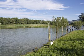 Marina Rheinhof - panoramio (42).jpg