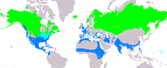 Distribución de Anas acuta