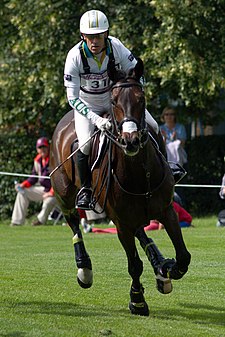 Andrew Hoy (30. července 2012)