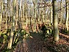 Ruine Hopfach mit Burggraben