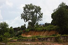 Nature of Cambodia.jpg