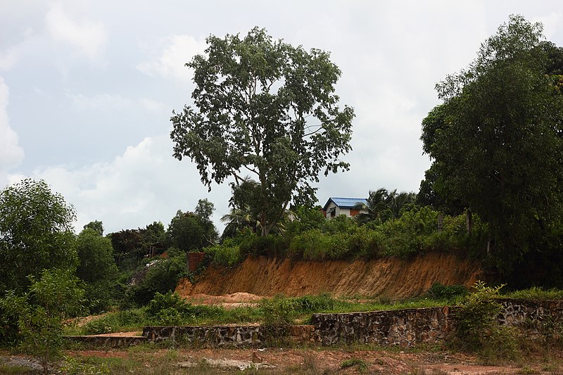 File:Nature of Cambodia.jpg