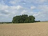 Burgstall der Burg Flyhöhe