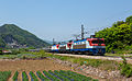 * Nomination A Korail Class 8000 hauling a freight train between Wonju and Sillim. (by Kabelleger) --廣九直通車 13:25, 16 July 2021 (UTC) * Promotion  Support Good quality. --Christian Ferrer 14:01, 16 July 2021 (UTC)