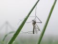 Für die Wasserversorgung sind in der Regel keine weiten Wege notwendig