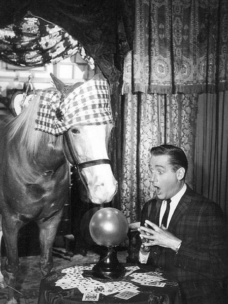 File:Alan Young Mister Ed 1964.JPG