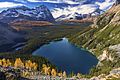 Lake O'Hara.