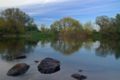 Photographie de la rivière Warta à Luboń.